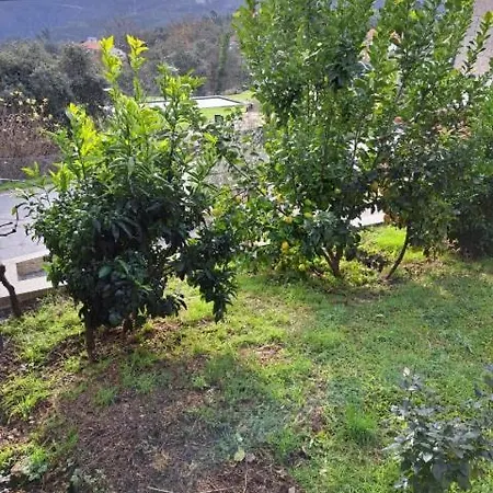 Casa Malagueira Fafião