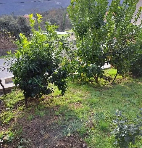 Casa Malagueira Fafião